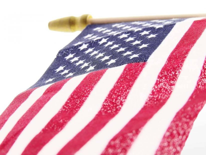 Governmental Immunity A Trap for Flag Of USA